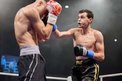 VBC 16_Vienna Boxing Championship BB1039