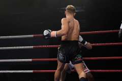 VBC 16_Vienna Boxing Championship BB1210