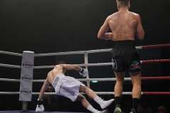 VBC 16_Vienna Boxing Championship BB1214