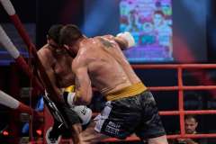 VBC 16_Vienna Boxing Championship BB1237