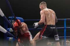 VBC 16_Vienna Boxing Championship BB1277