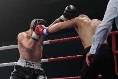 VBC 16_Vienna Boxing Championship BB1306