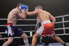 VBC 16_Vienna Boxing Championship BB1331
