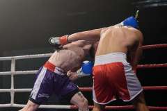 VBC 16_Vienna Boxing Championship BB1338