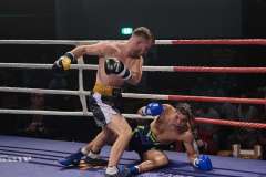 VBC 16_Vienna Boxing Championship BB2004