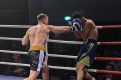 VBC 16_Vienna Boxing Championship BB2009