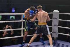 VBC 16_Vienna Boxing Championship BB2012