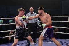 VBC 16_Vienna Boxing Championship BB2038