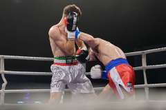 VBC 16_Vienna Boxing Championship BB2068
