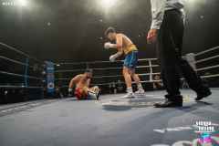 VBC 16_Vienna Boxing Championship BB2665