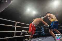 VBC 16_Vienna Boxing Championship BB2666