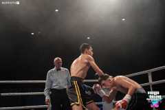 VBC 16_Vienna Boxing Championship BB2734