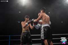 VBC 16_Vienna Boxing Championship BB2769