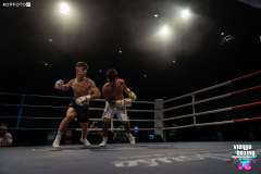 VBC 16_Vienna Boxing Championship BB2790