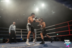 VBC-16_Vienna-Boxing-Championship-040