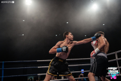 VBC-16_Vienna-Boxing-Championship-067