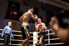 1_VBC-17_Vienna-Boxing-Championship-BB008