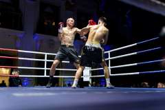 1_VBC-17_Vienna-Boxing-Championship-BB011