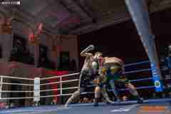 VBC-17_Vienna-Boxing-Championship-AA056