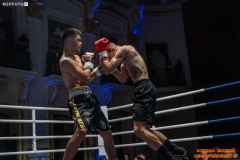 VBC-17_Vienna-Boxing-Championship-AA076