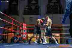 VBC-17_Vienna-Boxing-Championship-AA094