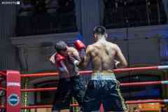 VBC-17_Vienna-Boxing-Championship-AA095