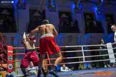 VBC-17_Vienna-Boxing-Championship-AA196