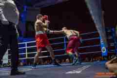 VBC-17_Vienna-Boxing-Championship-AA199