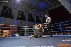 VBC-17_Vienna-Boxing-Championship-AA241