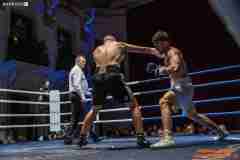 VBC-17_Vienna-Boxing-Championship-AA242