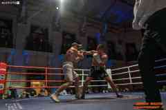 VBC-17_Vienna-Boxing-Championship-AA244