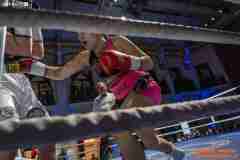 VBC-17_Vienna-Boxing-Championship-AA254