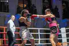 VBC-17_Vienna-Boxing-Championship-AA257