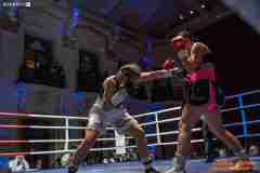 VBC-17_Vienna-Boxing-Championship-AA265