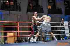VBC-17_Vienna-Boxing-Championship-AA319