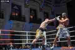 VBC-17_Vienna-Boxing-Championship-AA382