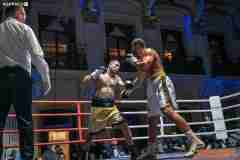 VBC-17_Vienna-Boxing-Championship-AA393