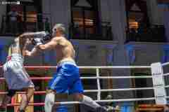 VBC-17_Vienna-Boxing-Championship-AA412