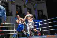VBC-17_Vienna-Boxing-Championship-AA422