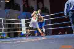 VBC-17_Vienna-Boxing-Championship-AA428