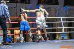 VBC-17_Vienna-Boxing-Championship-AA432