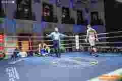 VBC-17_Vienna-Boxing-Championship-AA439