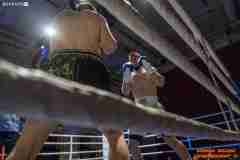 VBC-17_Vienna-Boxing-Championship-AA450