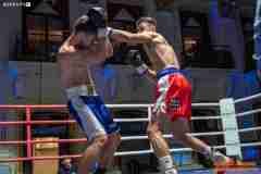 VBC-17_Vienna-Boxing-Championship-AA479
