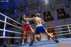 VBC-17_Vienna-Boxing-Championship-AA481