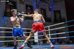 VBC-17_Vienna-Boxing-Championship-AA487