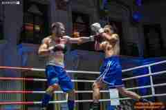 VBC-17_Vienna-Boxing-Championship-AA508