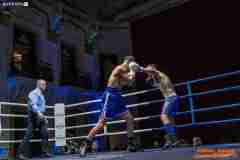 VBC-17_Vienna-Boxing-Championship-AA511