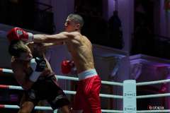 VBC-17_Vienna-Boxing-Championship-BB043