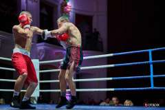 VBC-17_Vienna-Boxing-Championship-BB047